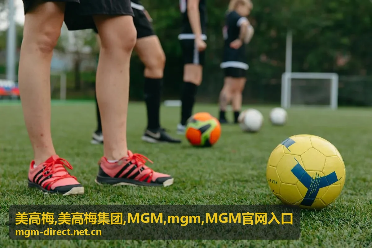 MGM官网入口移动端浏览场景